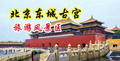 叉穴电影啊啊啊啊啊中国北京-东城古宫旅游风景区